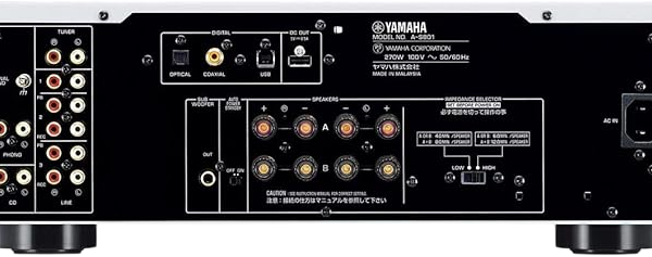 Yamaha A-S801 Review: The Actual Truth