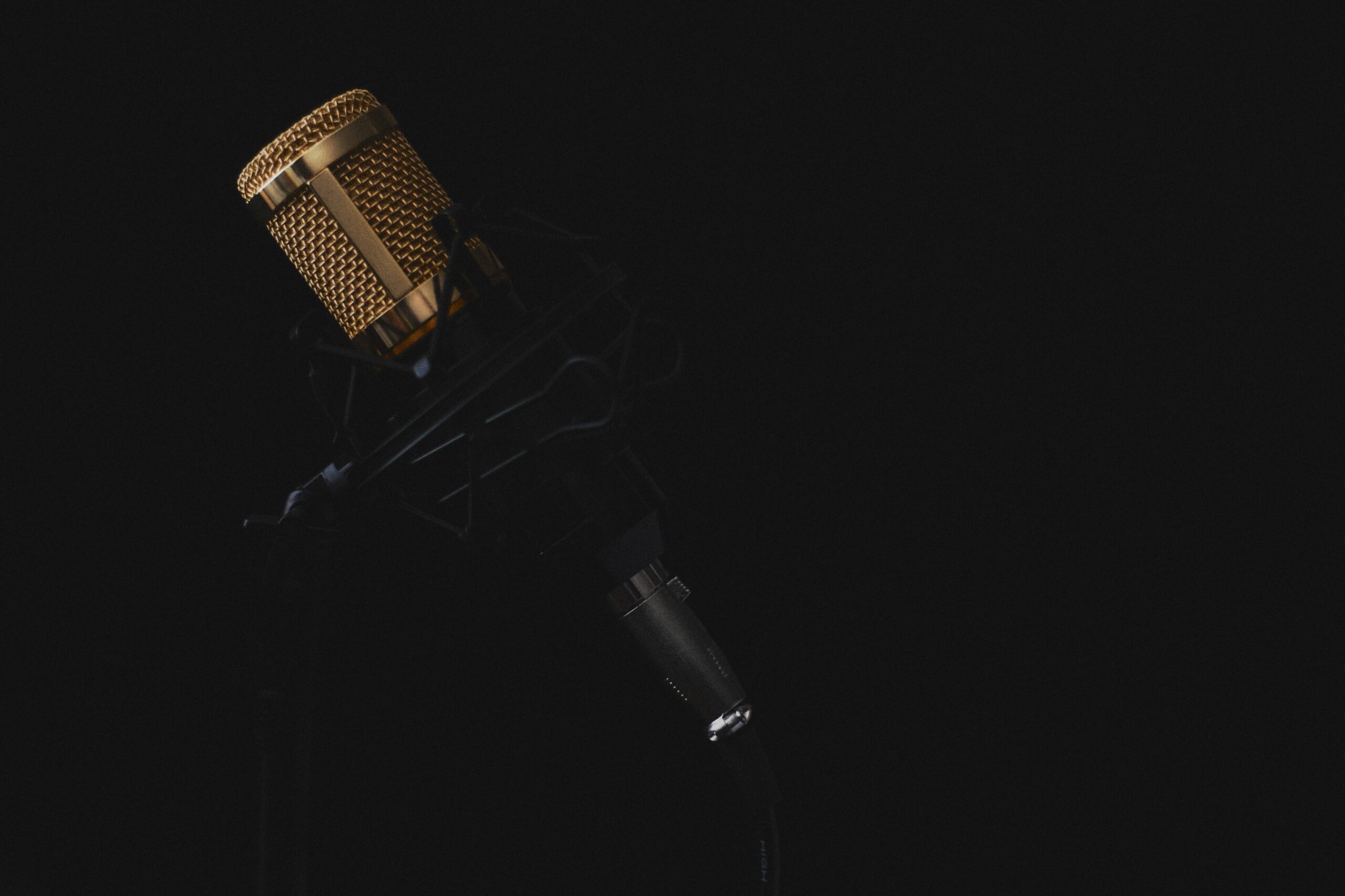 Best Ribbon Microphone: Don't Buy Until You Read This